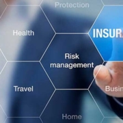 insurance 1 1