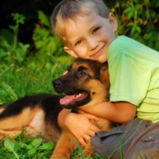 First Pet